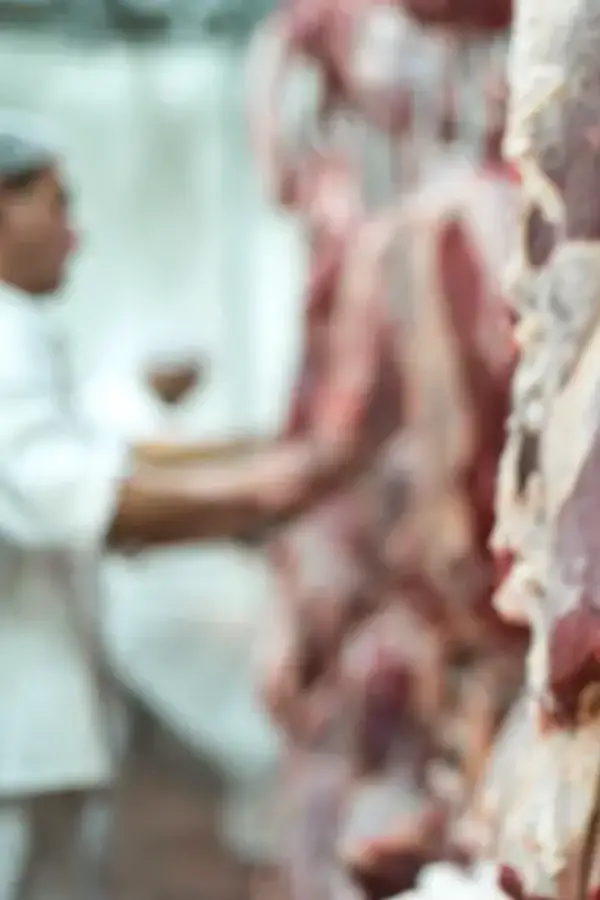 Çerkezköy, Kapaklı, Velimeşe, Veliköy ve Kızılpınar’da kurumsal et tedarik